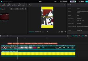 Eu vou editar vídeos para você