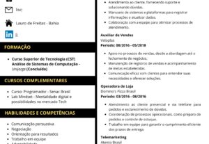Eu vou Fazer um Currículo de Forma Estratégica e Objetiva