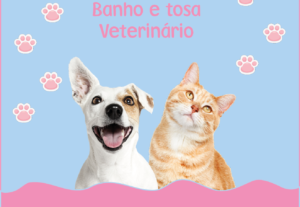 Eu vou criar panfletos/flyers ou templates para feed de rede...