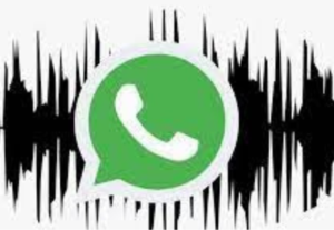Eu vou Fazer uma narração para seu texto