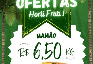 Eu vou Criar Arte Propaganda do seu comercio/face/insta