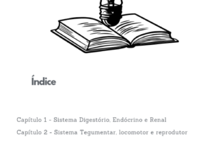 Eu vou criar e-book para você