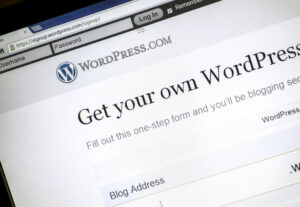 Eu vou instalar o seu WordPress em sua hospedagem