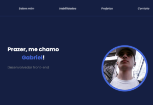Eu vou fazer seu site do jeito que você quiser