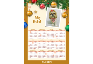 Eu vou fazer seu calendário personalizado