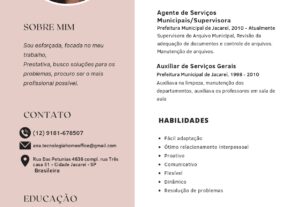 Eu vou fazer currículo profissional para você