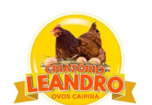 Eu vou fazer seu logo marca de primeira qualidade