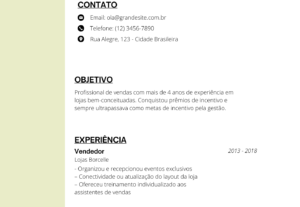 Eu vou criar o seu currículo de maneira moderna e visual.