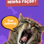 Eu vou fazer um POST para Instagram