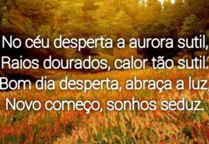Eu vou Escrever poemas poesias e roteiros para você