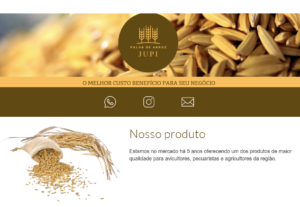 Eu vou criar um site para você em um dia