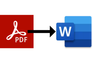 Eu vou transformar seu pdf em word