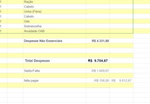 Eu vou fazer a sua planilha, pessoal ou empresarial