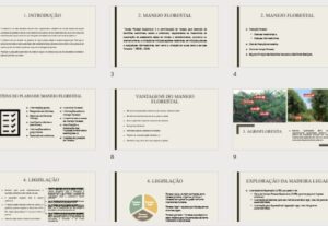 Eu vou fazer os slides pra sua apresentação da faculdade