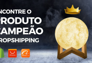 Eu vou minerar seus produtos Dropshipping