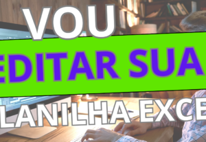 Eu vou Organizar dados de estoque em planilha do Excel