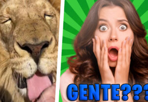 Eu vou criar Thumbnails para seu vídeo no Youtube