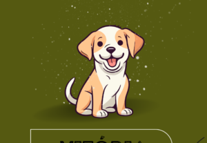 Eu vou fazer logos originais ao seu gosto