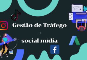Eu vou Fazer sua gestão de trafego