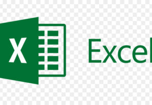 Eu vou fazer a planilha do excel a sua escolha