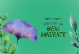 Eu vou Fazer designs para suas redes sociais