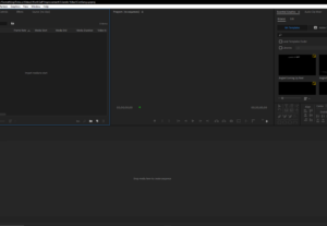 Eu vou editar seu video de maneira profissional