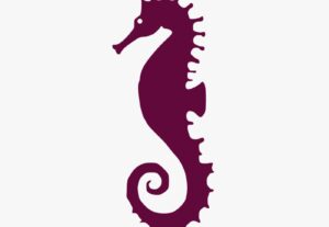Eu vou Fazer o melhor logotipo para sua marca ou