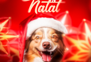 Eu vou criar criativos chamativos pra você
