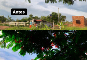 Eu vou Editar fotos e deixá-la profissionais