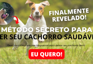Eu vou fazer design para você ou sua loja