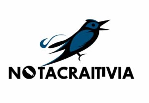 Eu vou Criar um jingle para propaganda da sua empresa
