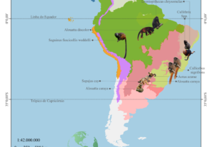 Eu vou fazer mapas geográficos para você