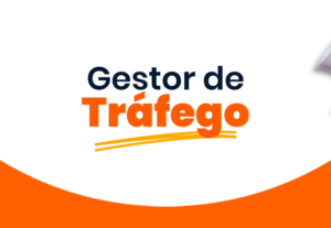 Eu vou fazer sua gestão de tráfego