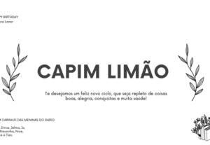 Eu vou criar banner, cartazes, logotipos.