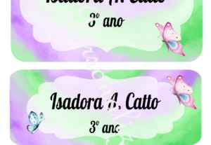 Eu vou fazer Artes Personalizadas preferencialmente infantis...