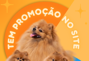 Eu vou criar pra você a identidade do seu negócio