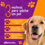 Eu vou Criar o melhor design para você