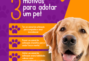 Eu vou Criar o melhor design para você