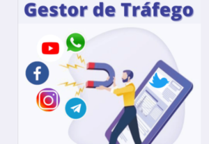 Eu vou fazer a gestão de trafego da sua empresa