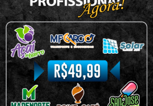 Eu vou fazer uma logo profissional do seu negócio