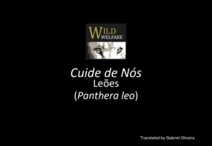 Eu vou traduzir seu texto do inglês para o português.