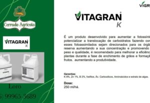 Eu vou Fazer folder, publicações de Instagram e storys també...