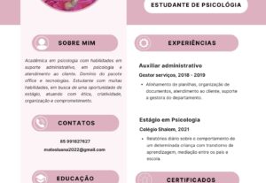 Eu vou Criar um currículo moderno e individualizado.