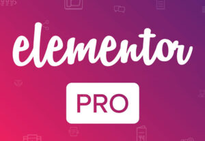 Eu vou instalar o elementor pro original no seu site wordpre...