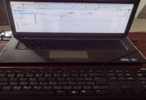 Eu vou digitar, revisar, transcrever e também traduzir texto...