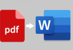 Eu vou converter seu arquivo PDF em texto de word.