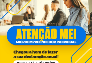 Eu vou fazer sua declaração anual do Mei