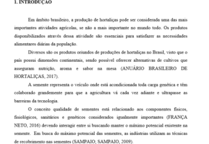 Eu vou digitar texto conforme for sugerido