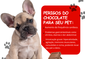 Eu vou Criar artes para instagram