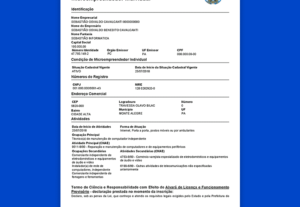 Eu vou abrir sua empresa mei